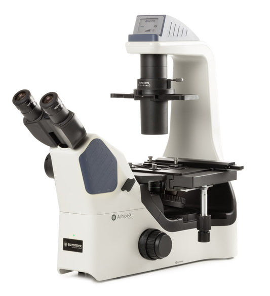 Microscopio Invertido Binocular Achios-X Modelo AI.1053-PLPHi Euromex, oculares WF10x/22 mm y objetivos Plan PLi 4x y Plan PLPHi 10x/20x/S40x de contraste de fase IOS