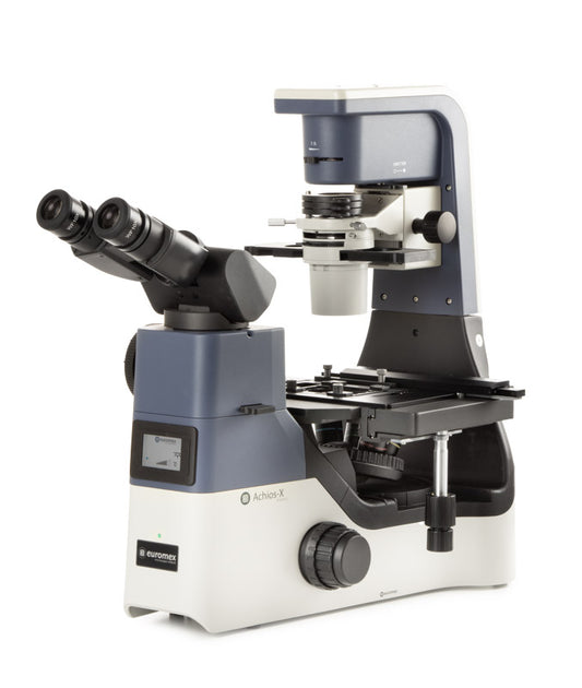 Microscopio Invertido Binocular Ergo Achios-X Modelo AI.4058-PLPHi Euromex cabezal basculante de 5-35° y oculares WF10x/22 mm. Objetivos Plan PLi 4x y Plan PLPHi 10x/20x/S40x con contraste de fase
